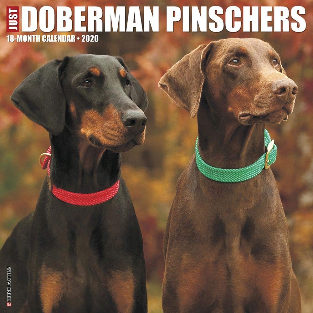 Just Dobermans 2020 Wall Calendar (Dog Breed Calendar) Pets