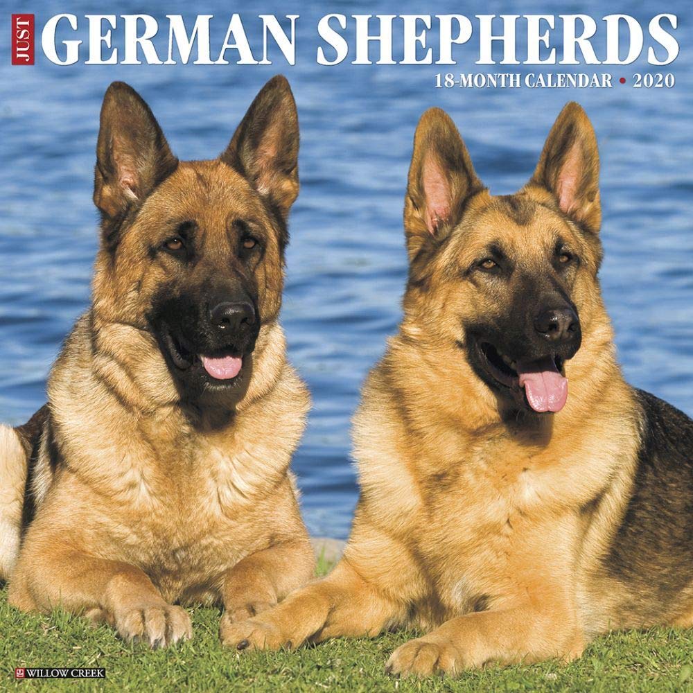 Just German Shepherds 2020 Wall Calendar (Dog Breed Calendar) Pets