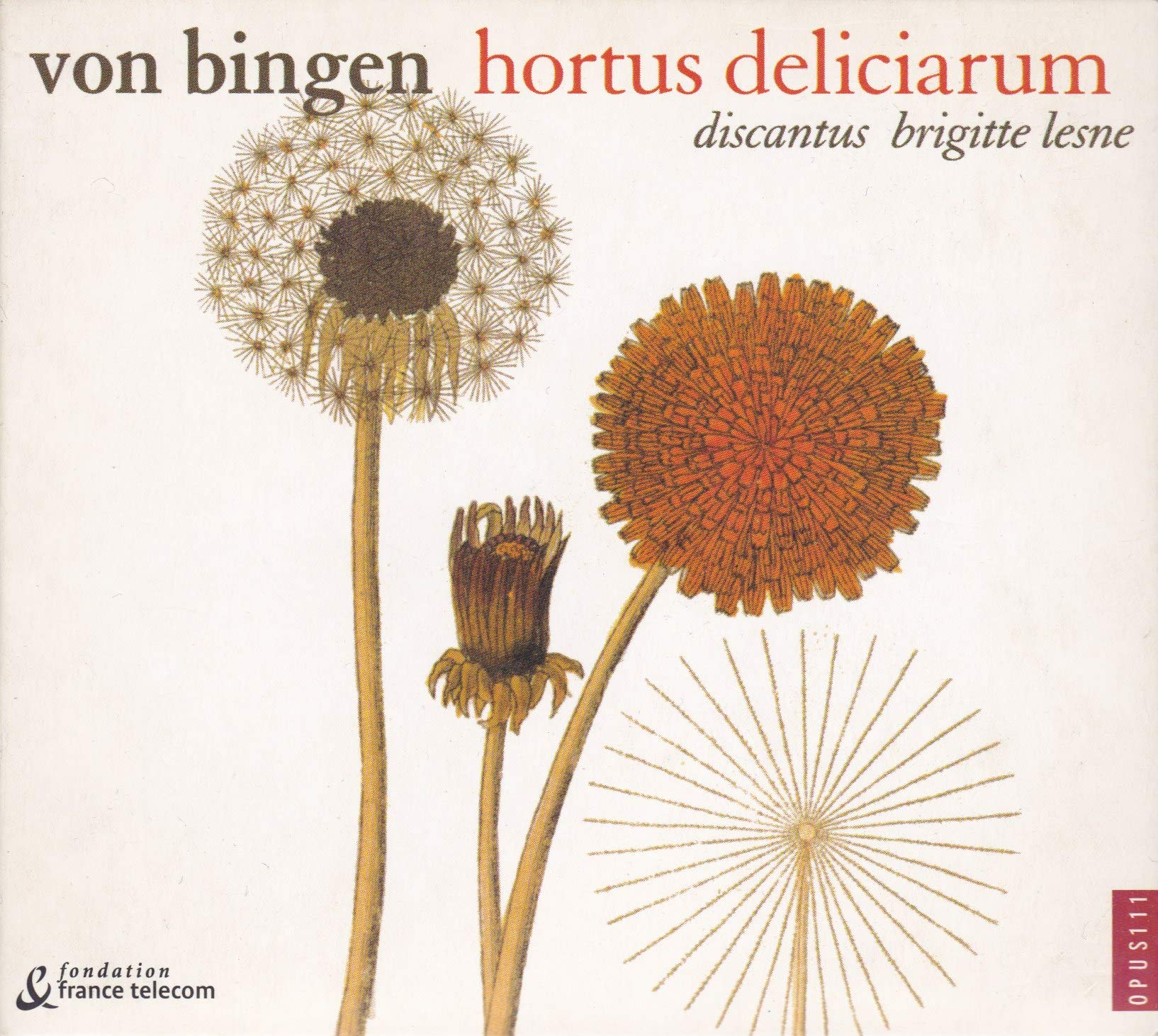 Von Bingen : Hortus Deliciarum (Chants Grégoriens du XIIe siècle) cd