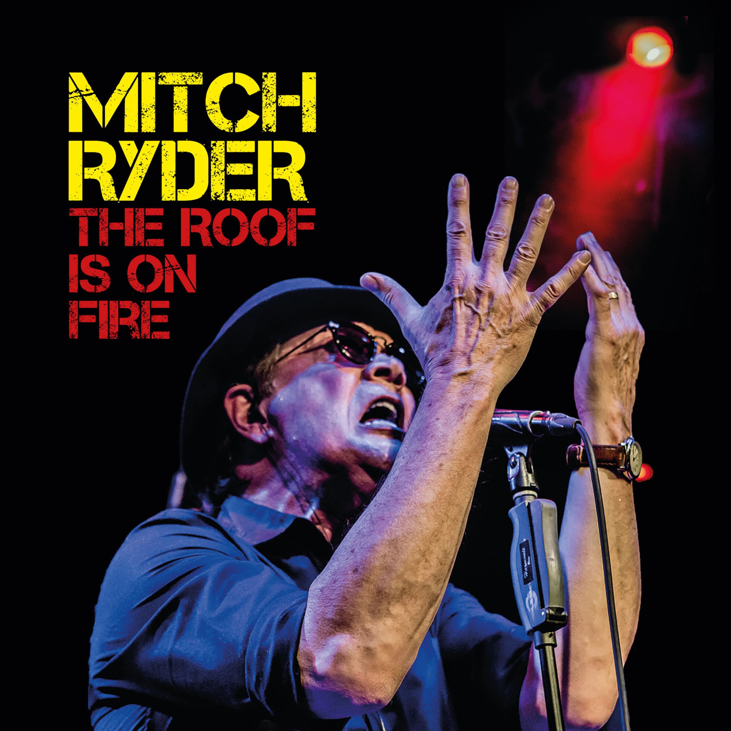 Product Image: The Roof Is On Fire
