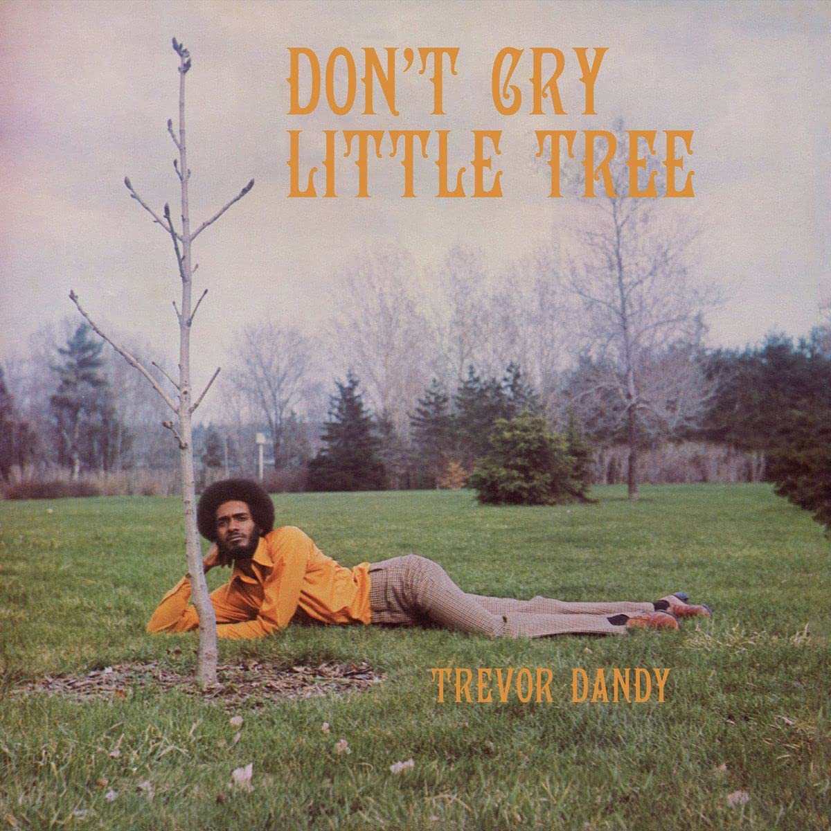 Product Image: Don't Cry Little Tree