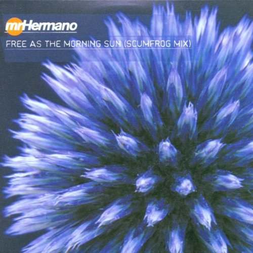 Free As the Morning Sun (the S Jazz