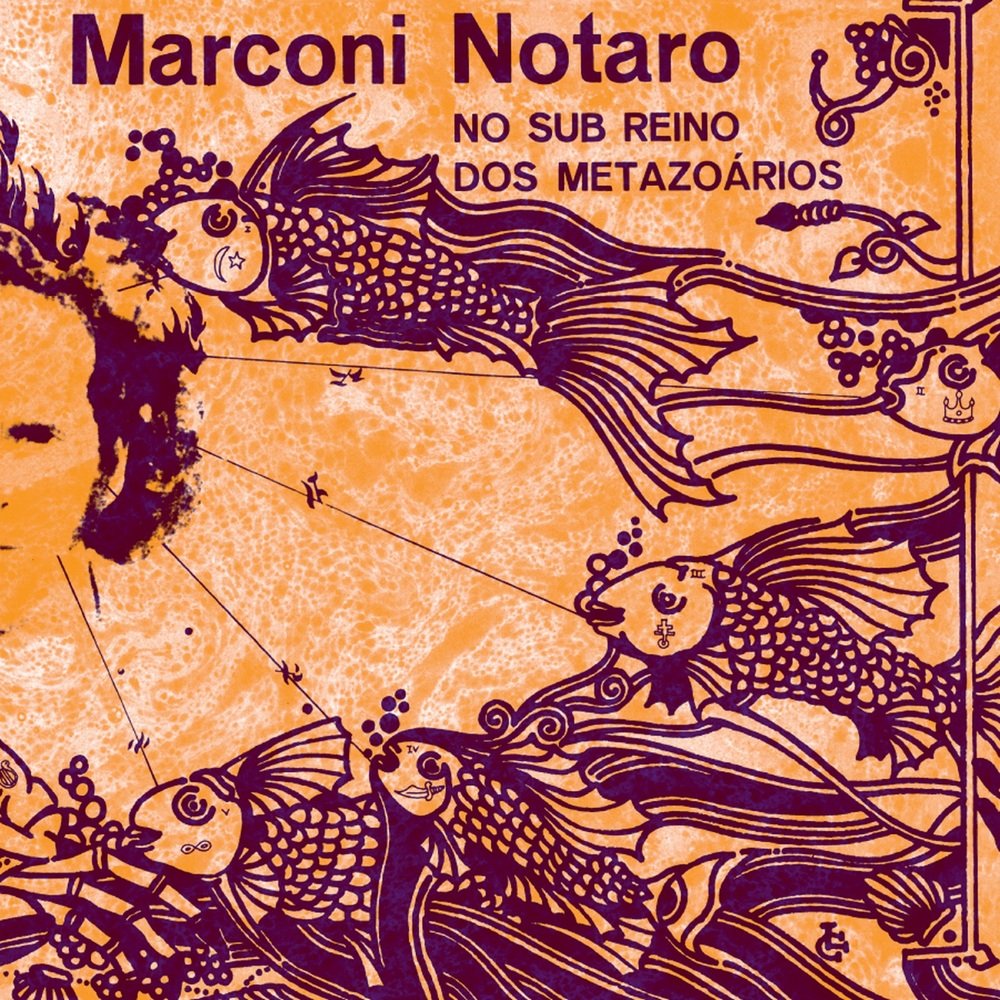 No Sub Reino Dos Metazoarios Jazz