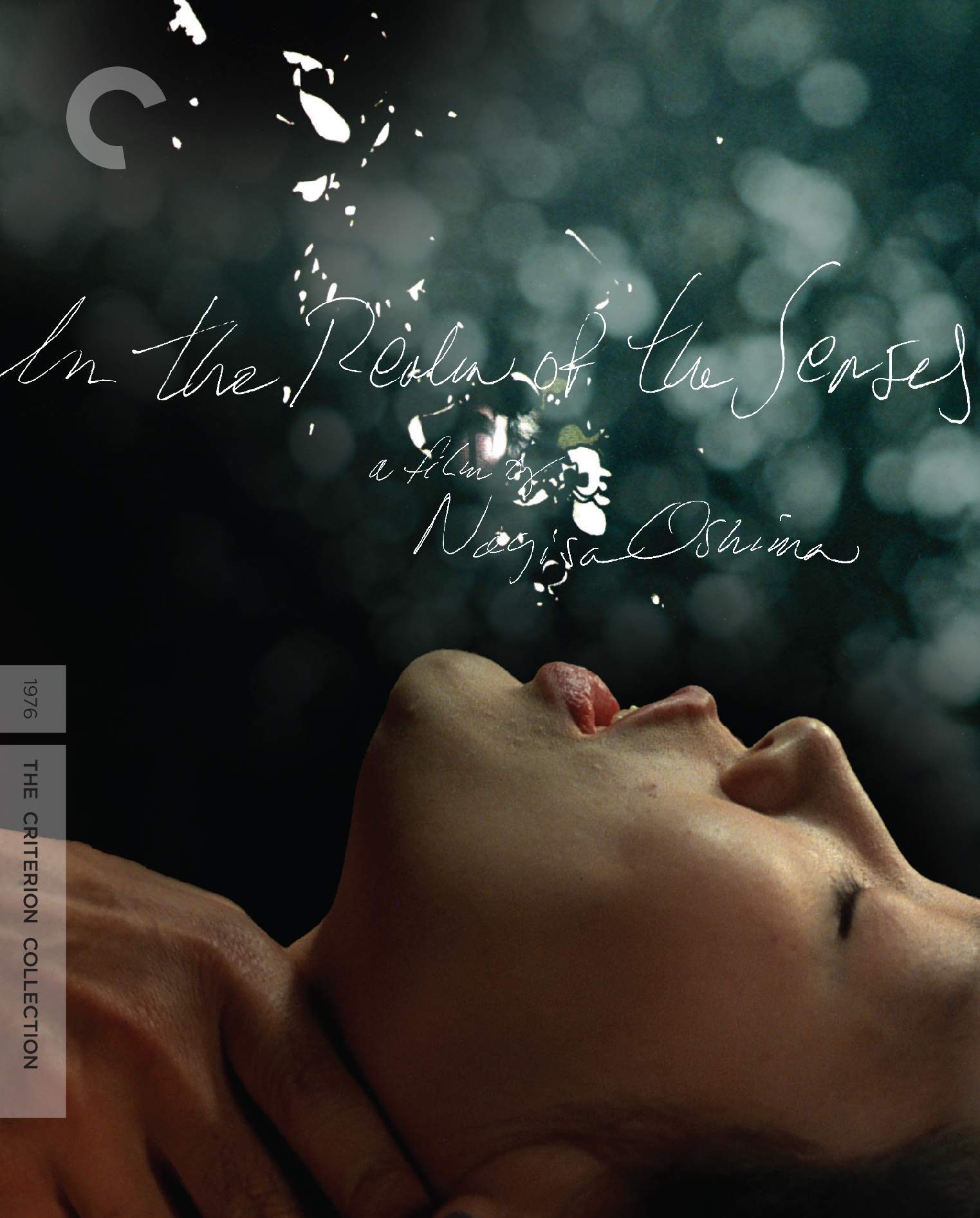 Criterion Collection: In the Realm of the Senses Films
