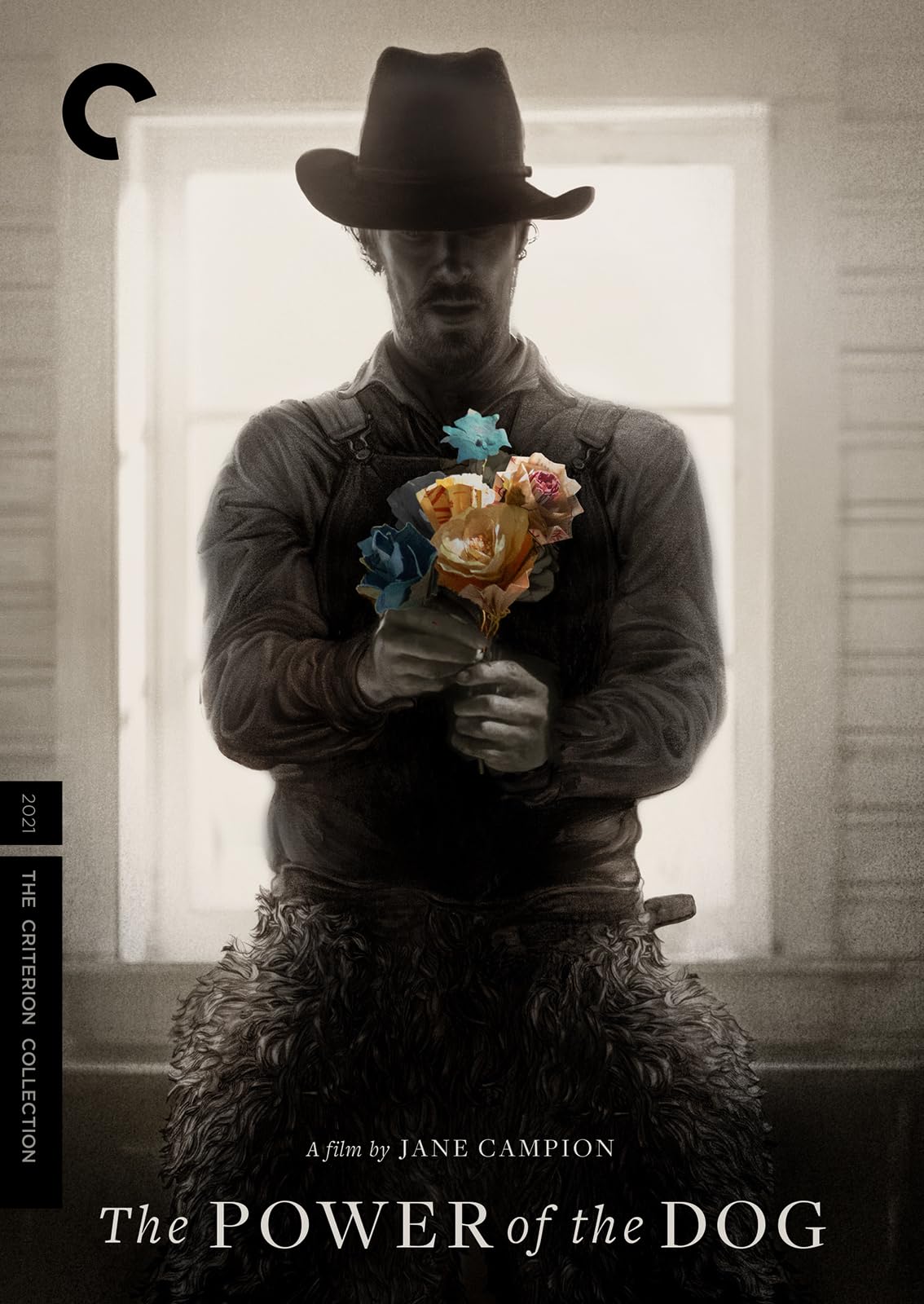 The Power of the Dog (Criterion Collection) Films