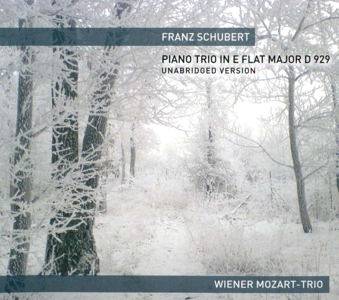 SCHUBERT PIANO TRIO IN E FLAT MAJOR D 929 Classical