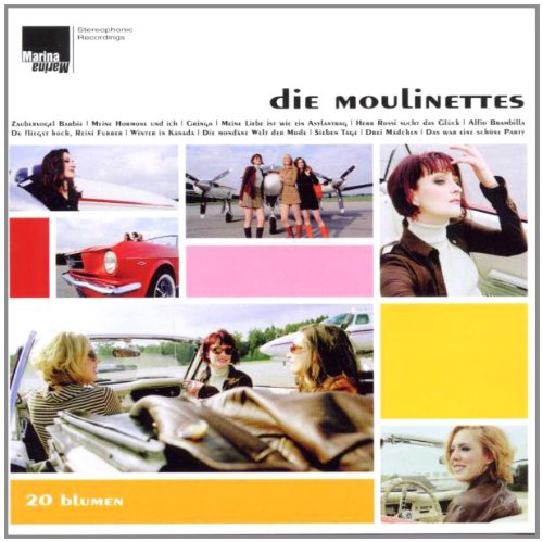 20 Blumen Rock