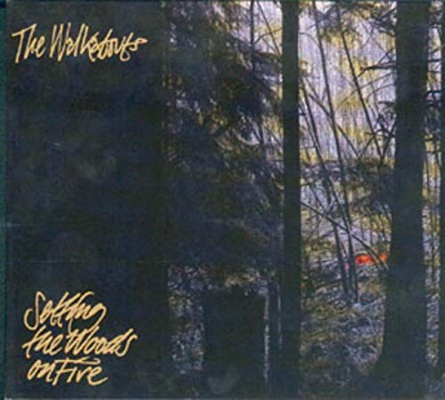 Setting the Woods on Fire Alternative & Indie