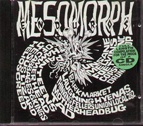 Mesomorph Enduros Alternative & Indie