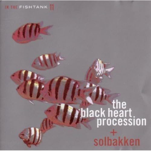 In the Fishtank 11 Alternative & Indie