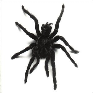 Ma Non Troppo Pop