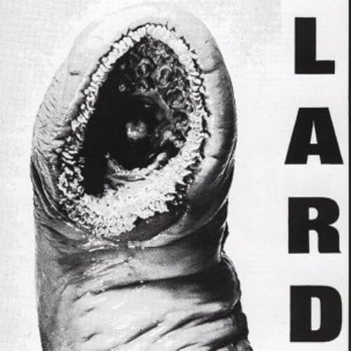 The Power of Lard Alternative & Indie