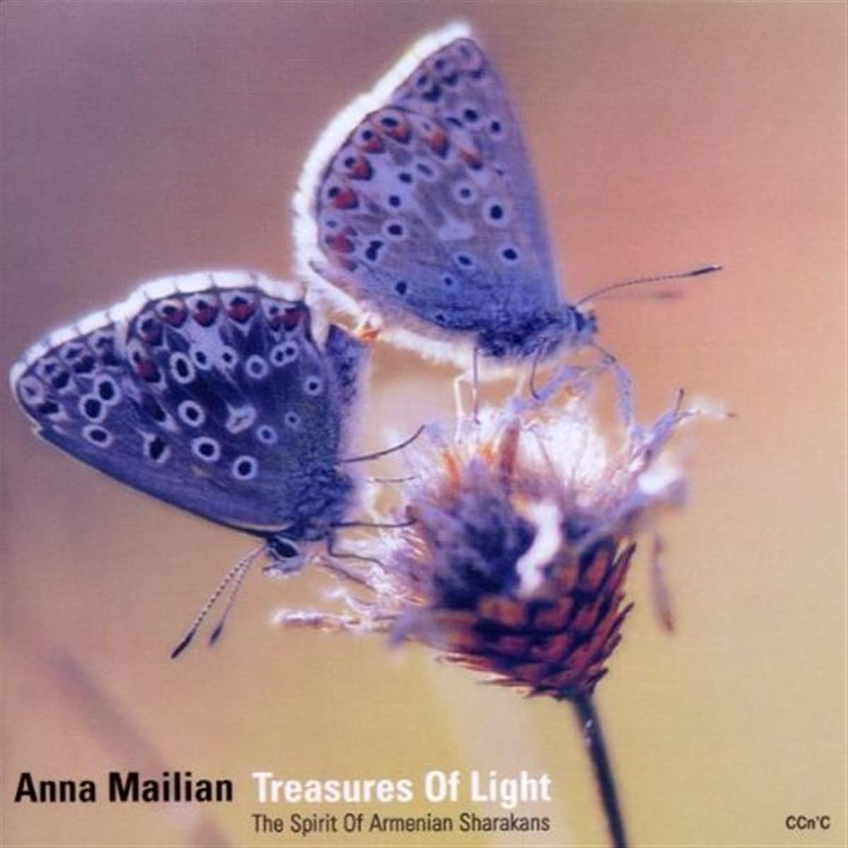 Product Image: Treasures Of Light