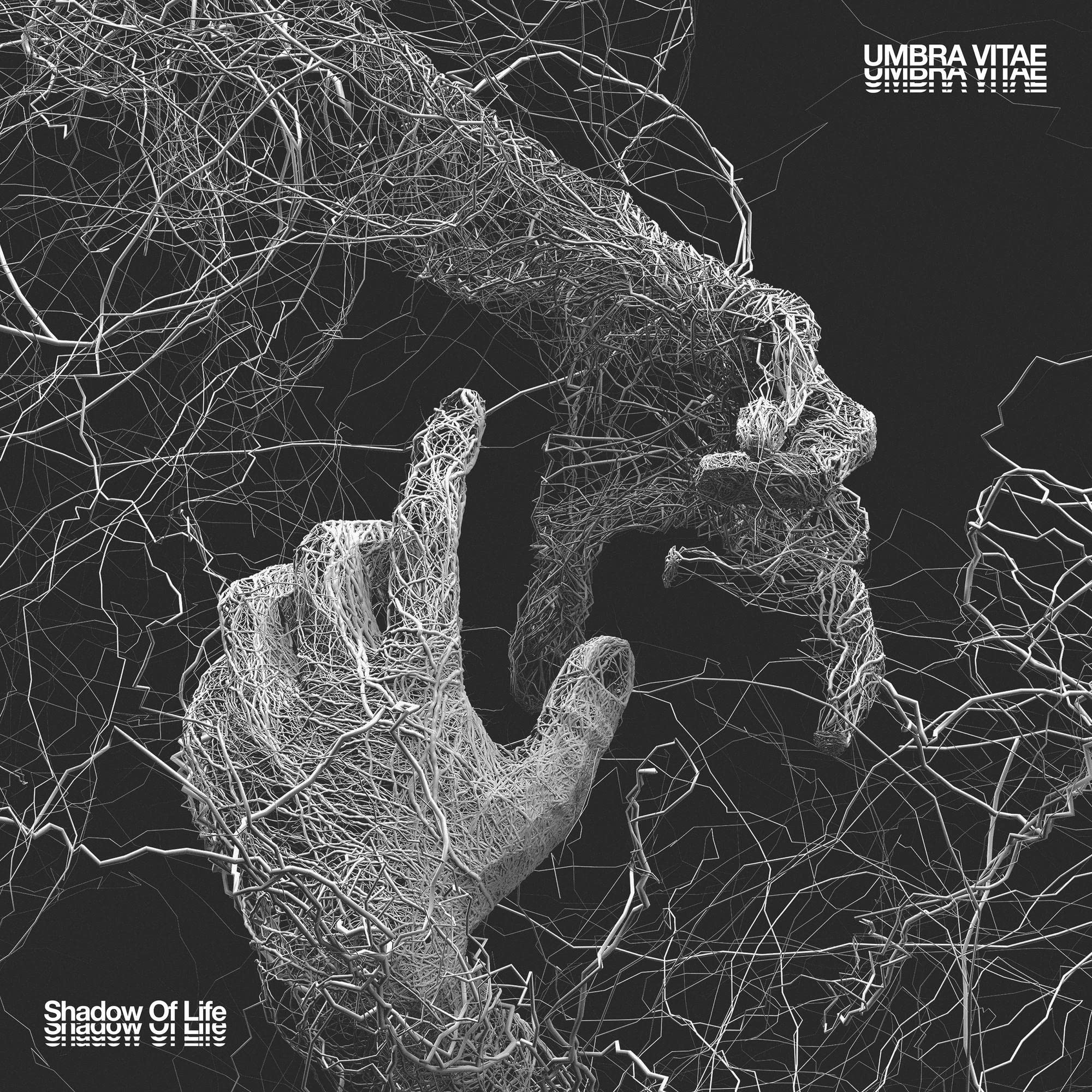 Product Image: Shadow Of Life