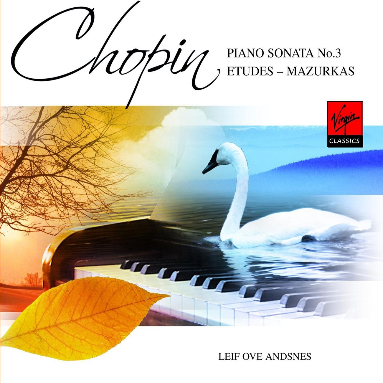 Etudes & Mazurkas Classical
