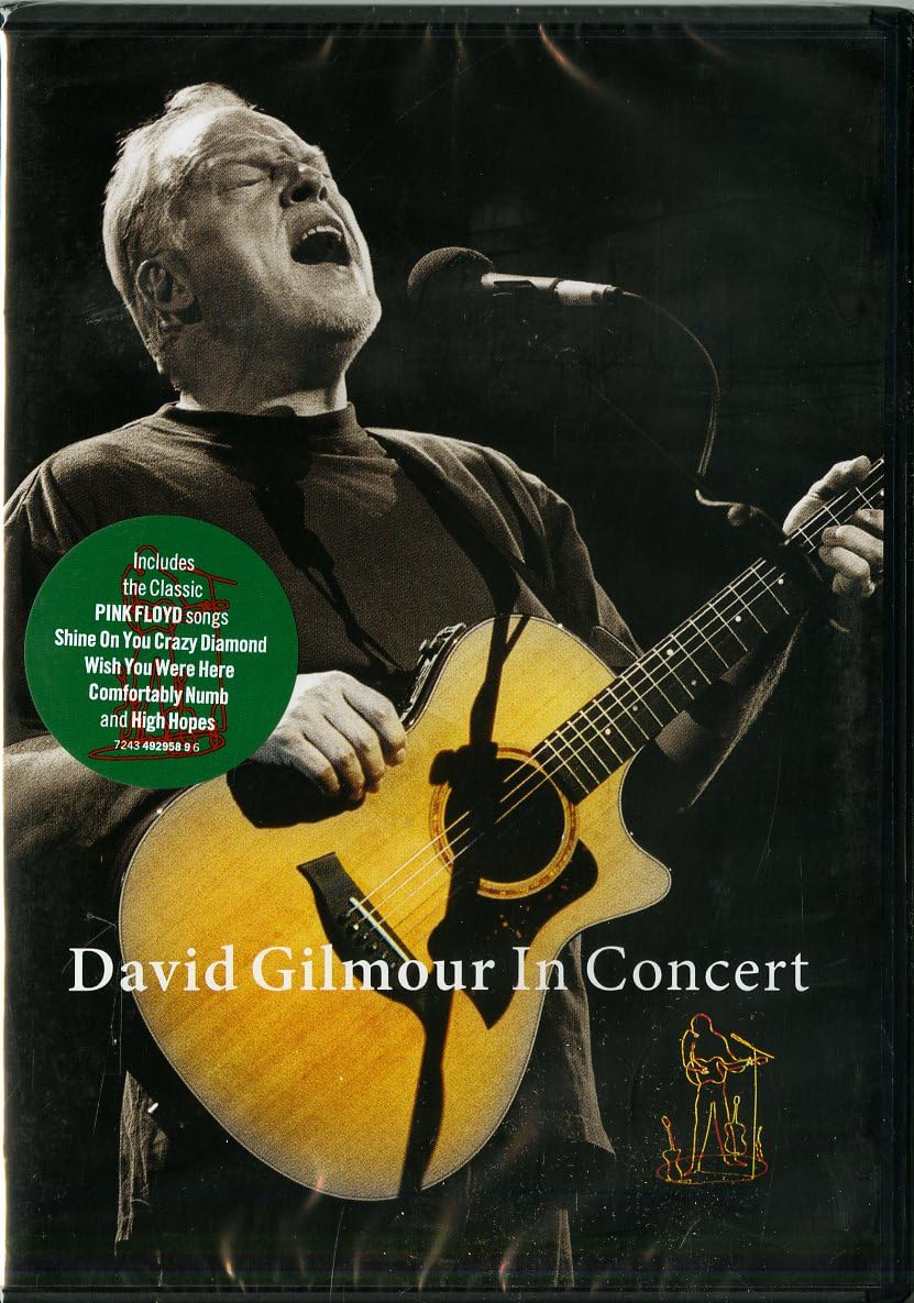 David Gilmour - David Gilmour In Concert Movies