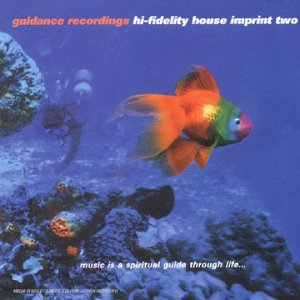 Hi Fidelity House Vol II cd