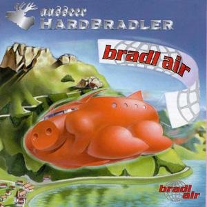 Bradl Air Pop