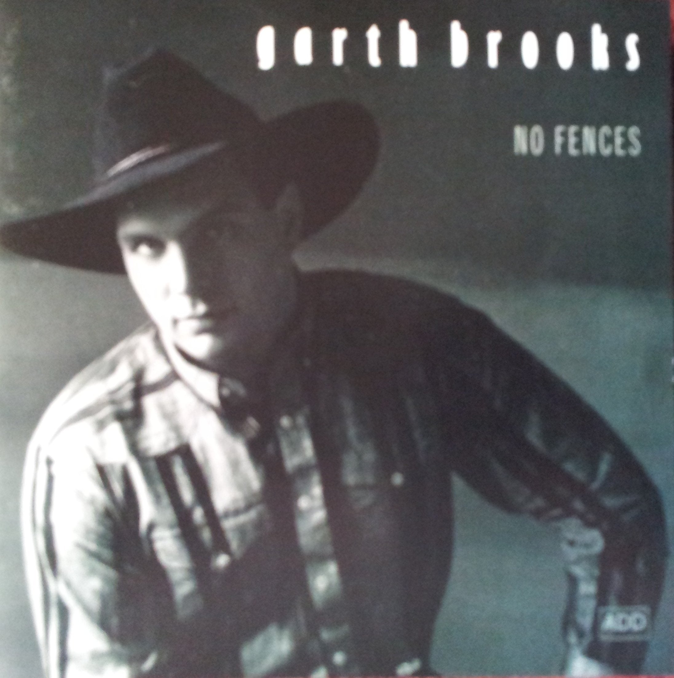 No Fences Pop