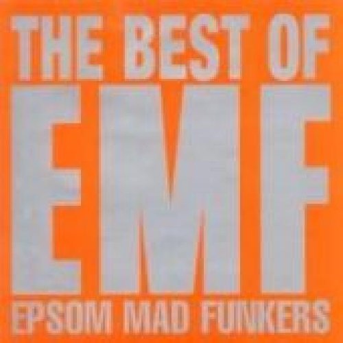 Epson Mad Funkers-the Best of Pop