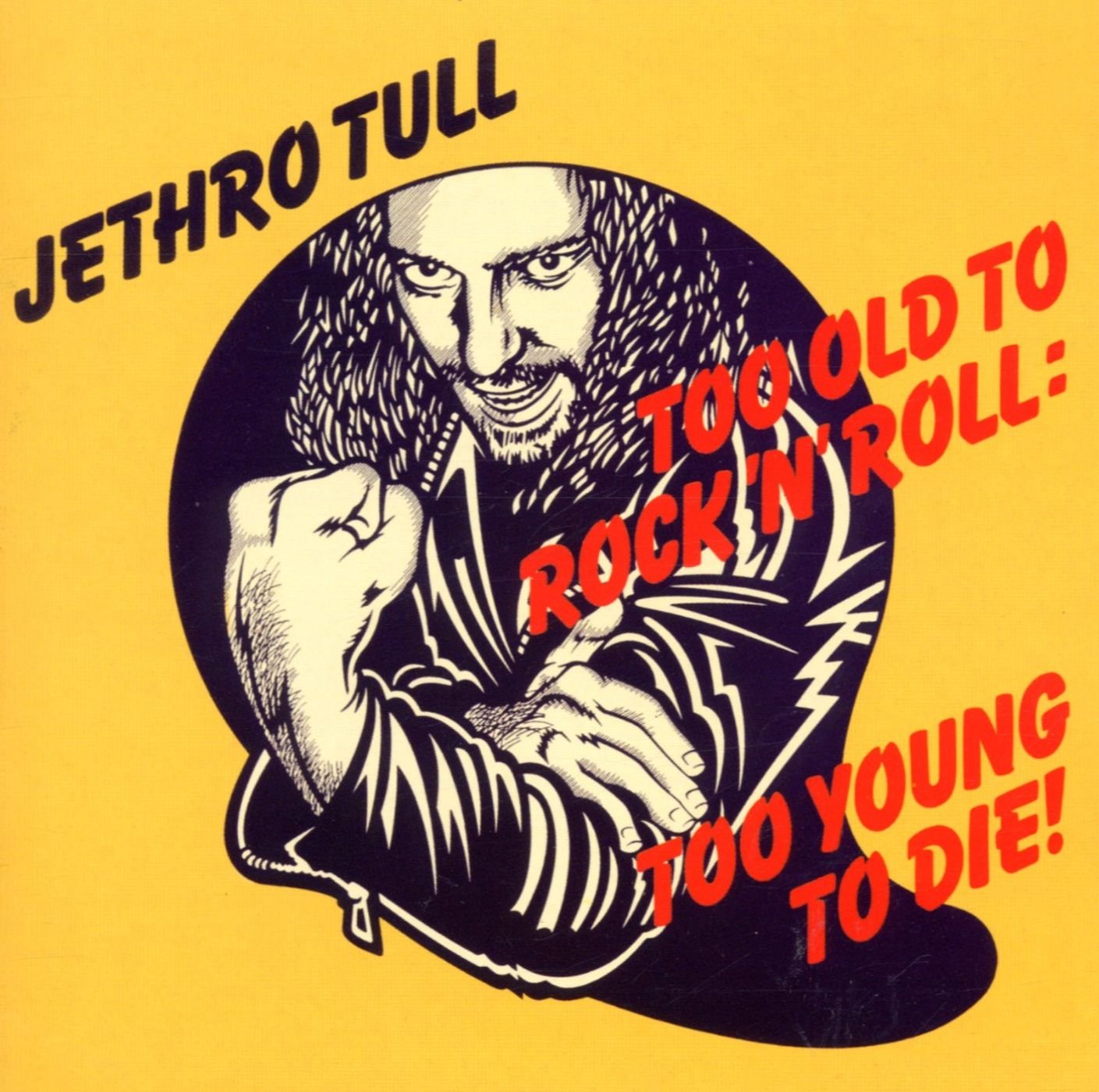 Product Image: Too Old To Rock 'N' Roll