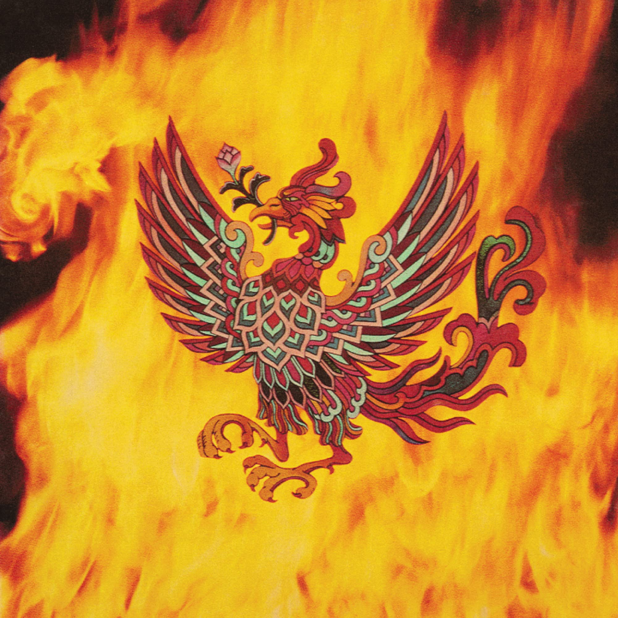 Product Image: Phoenix