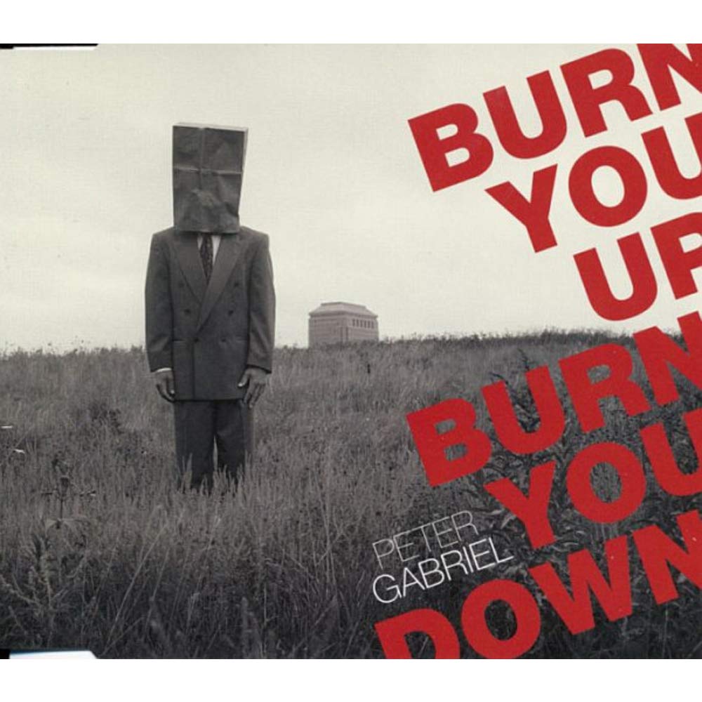 Product Image: Burn You Up, Burn You Down