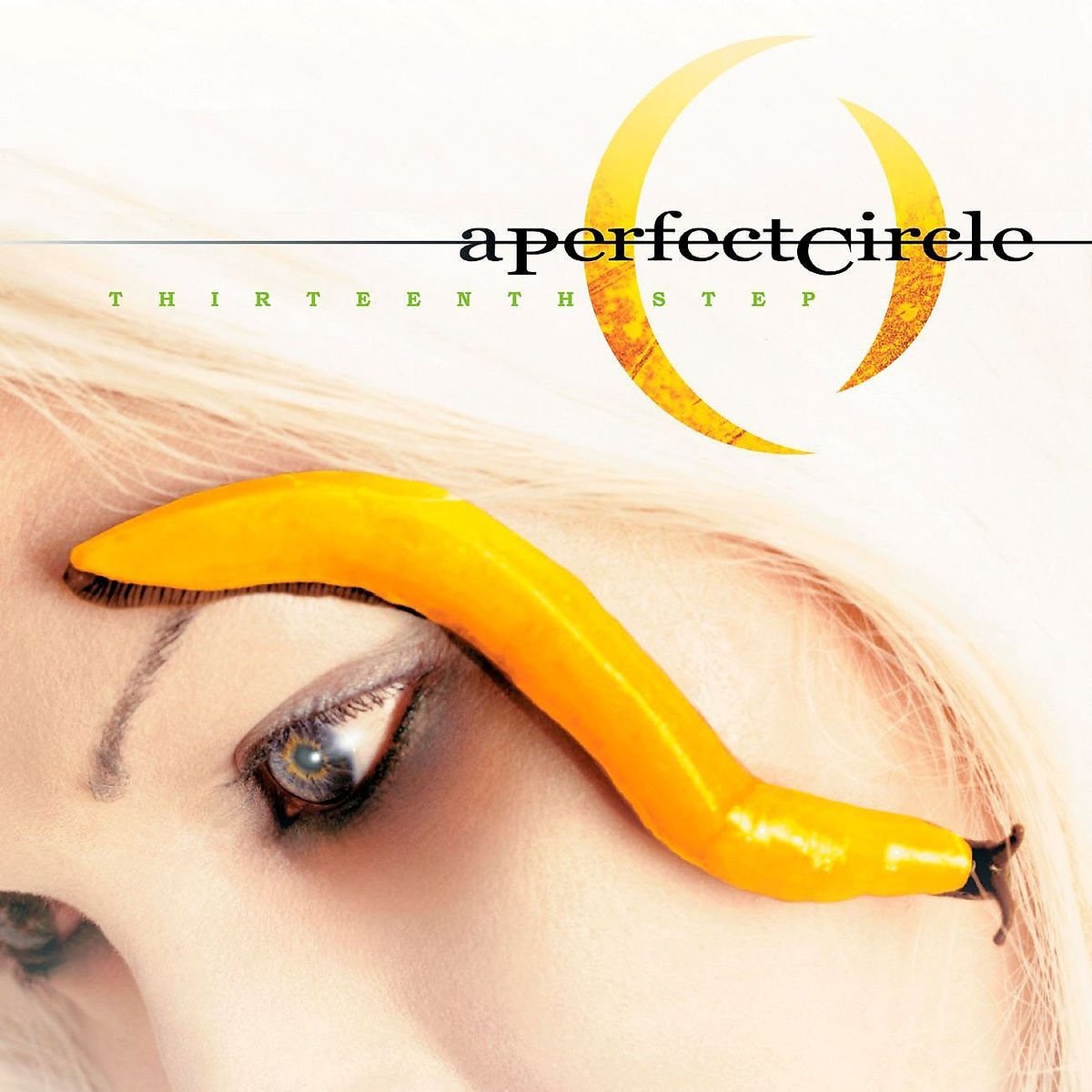 Thirteenth Step Alternative & Indie