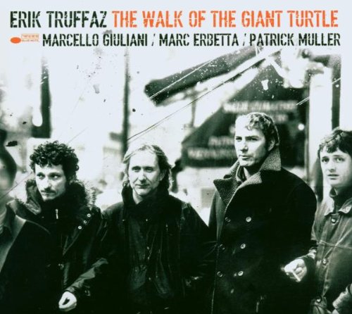 Walk of the Giant Turtle-Ltd Dance & Electronic