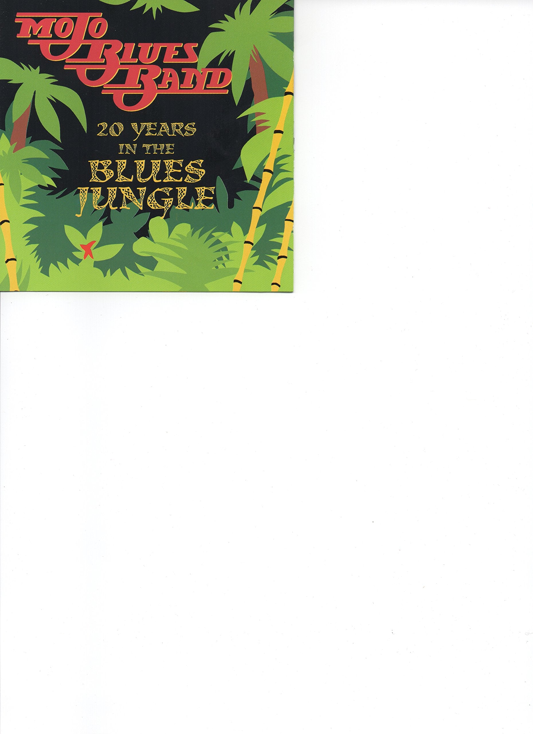 20 Years in the Blues Jungle Blues