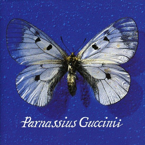 Product Image: Francesco Guccini - Parnassius Guccinii