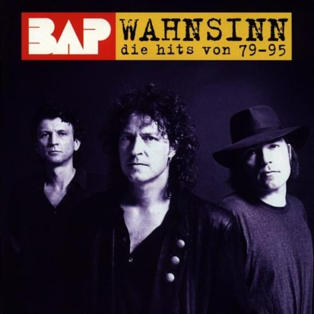Wahnsinn-die Hits Von '79-'95 Pop
