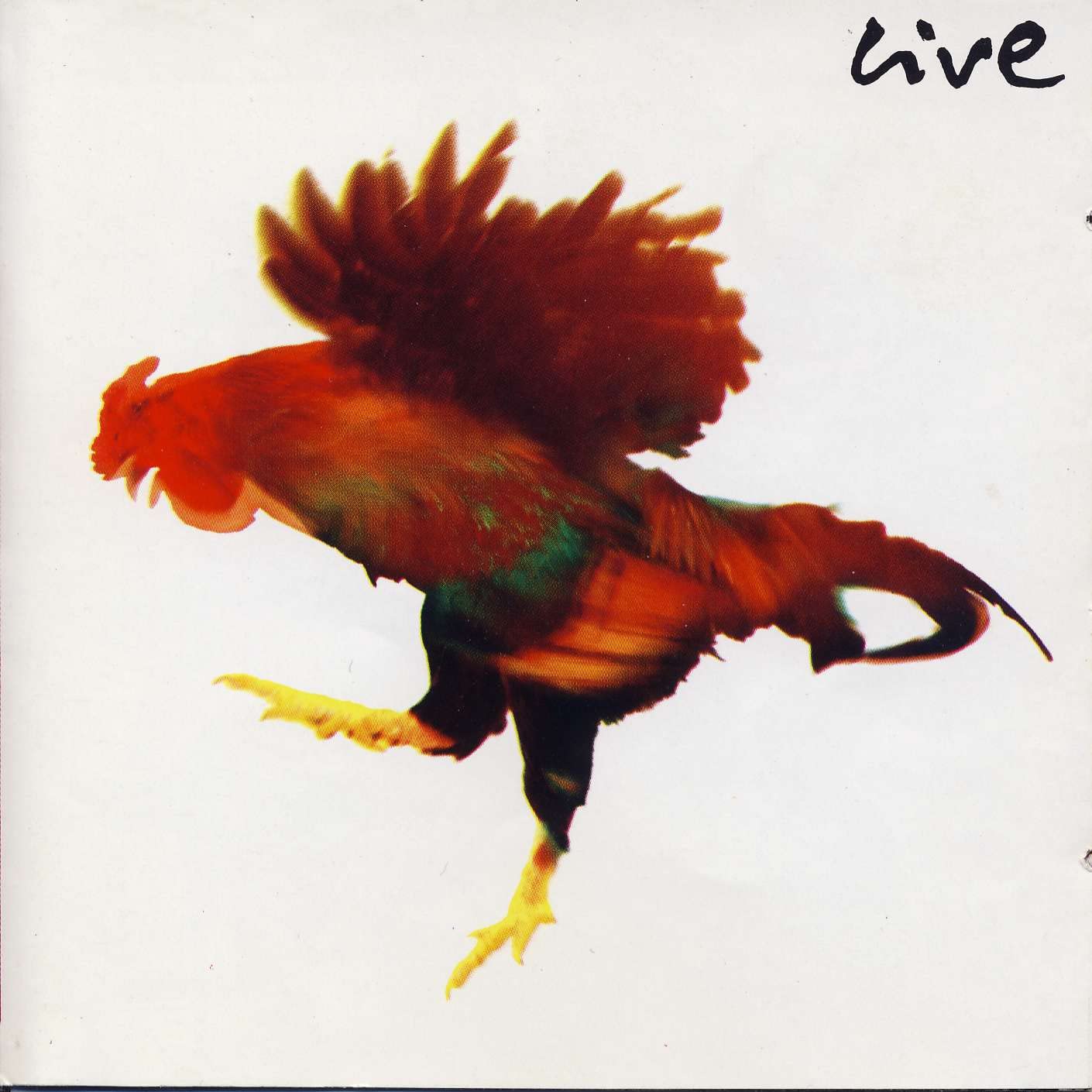 Grönemeyer Live Pop