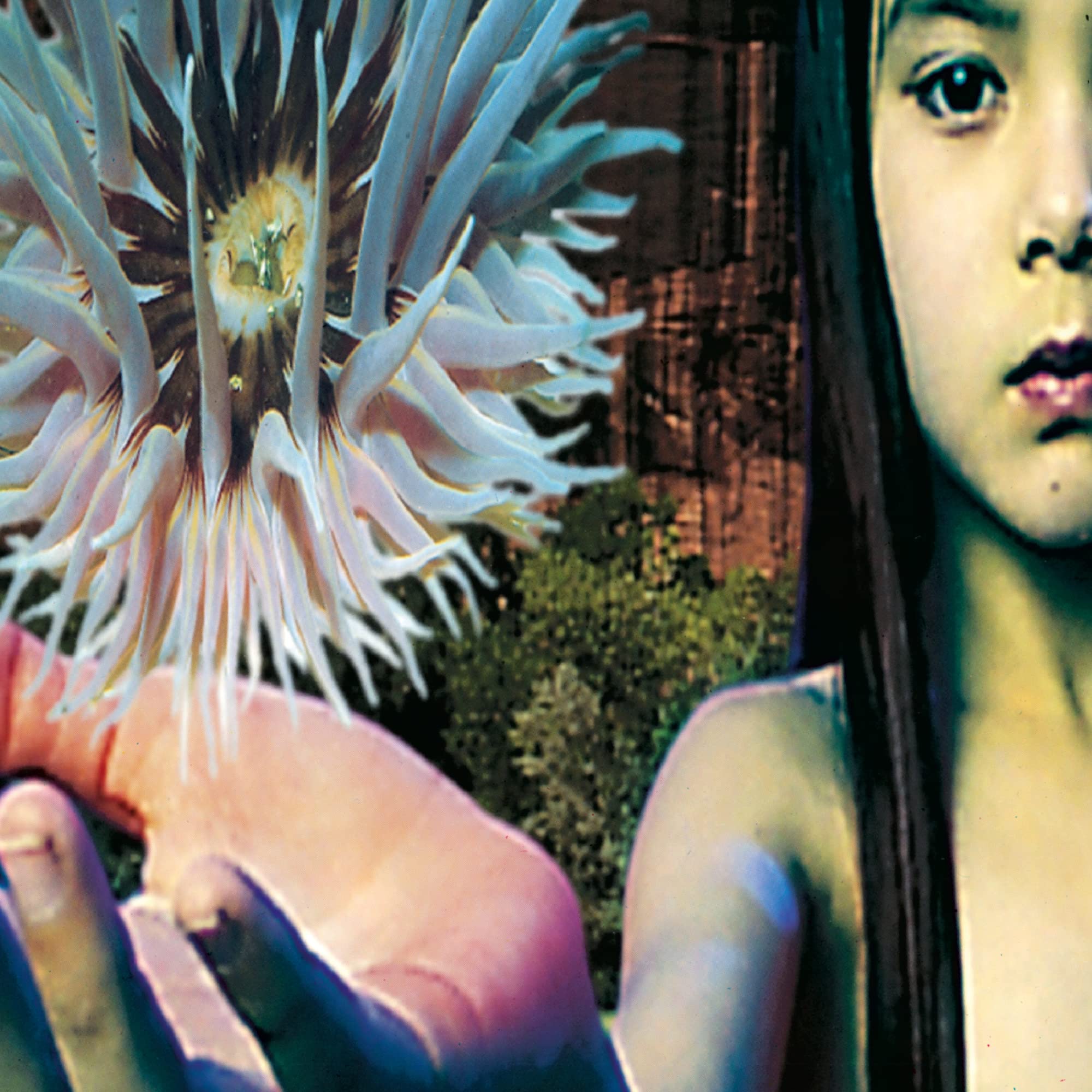 Lifeforms Dance & Electronic