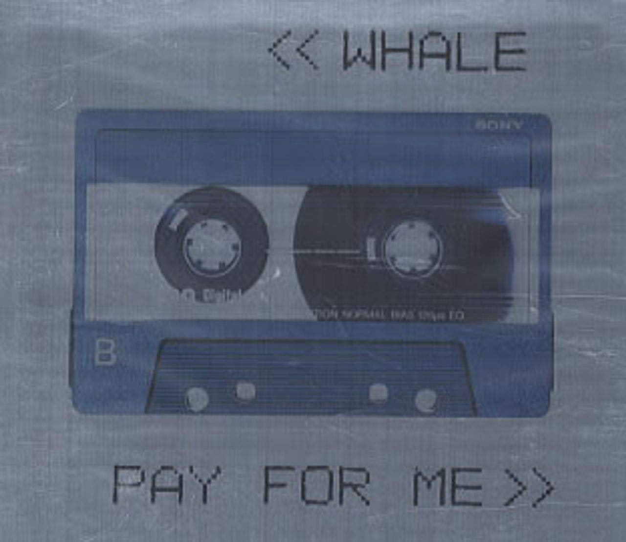 Pay for Me Alternative & Indie