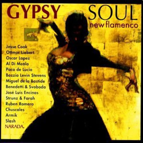 Gypsy Soul-New Flamenco Music