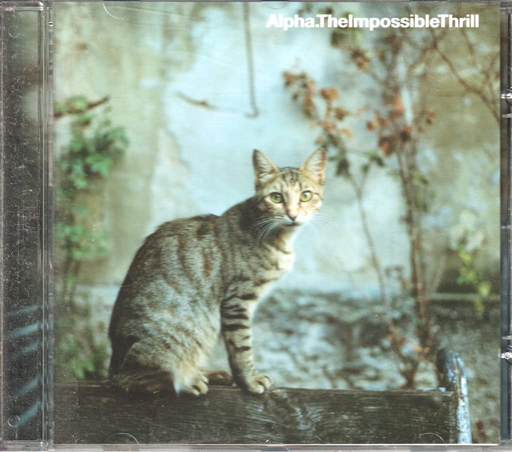 The Impossible Thrill Alternative & Indie