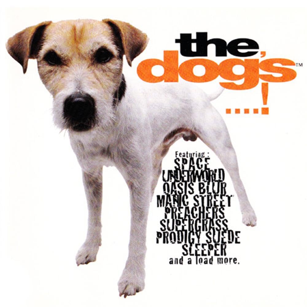 Its the Dogs..! Rock