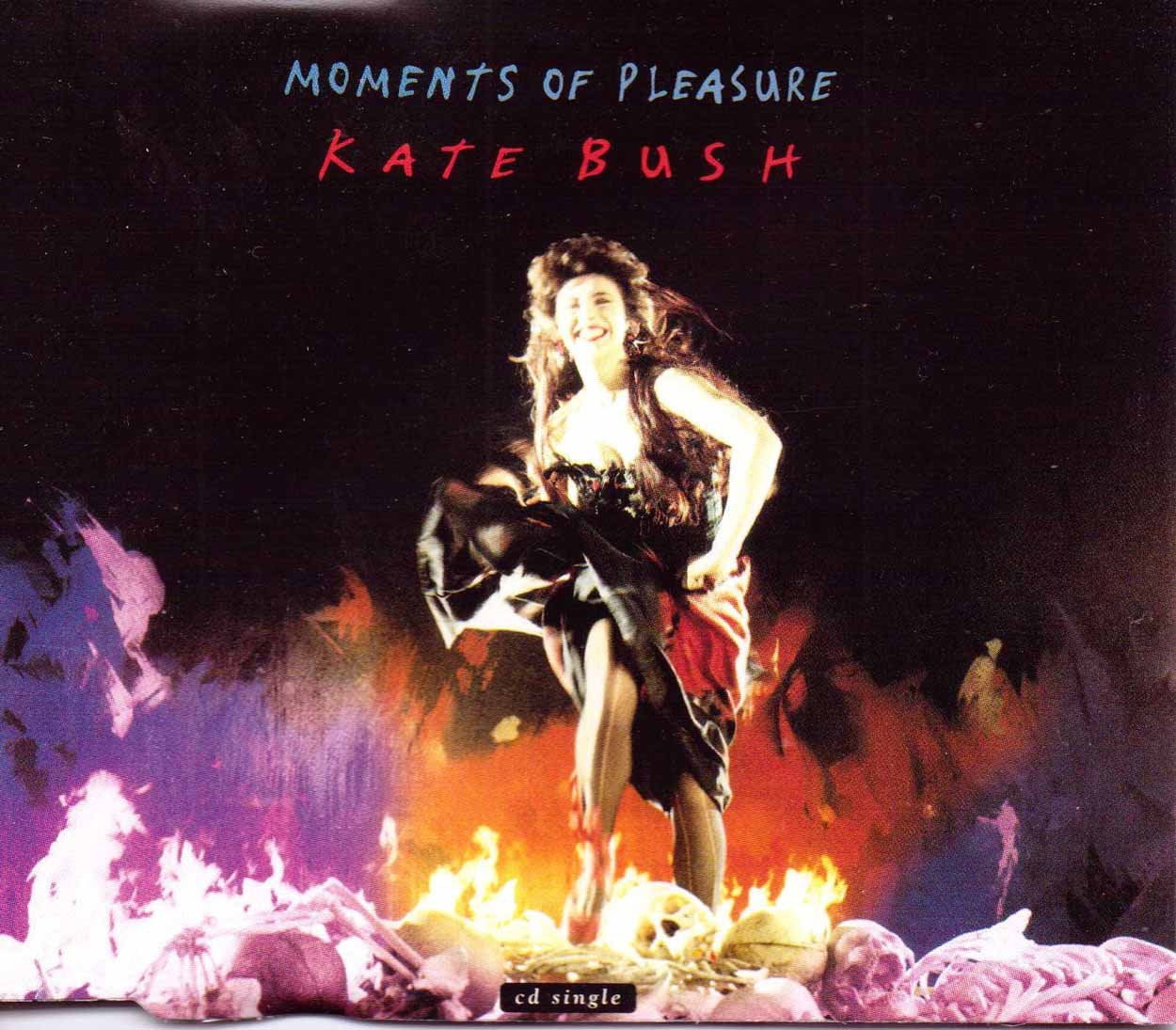 Moments of pleasure Alternative & Indie