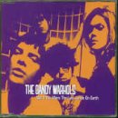 Not If You Were the Last Junkie on Earth (UK Import) Alternative & Indie