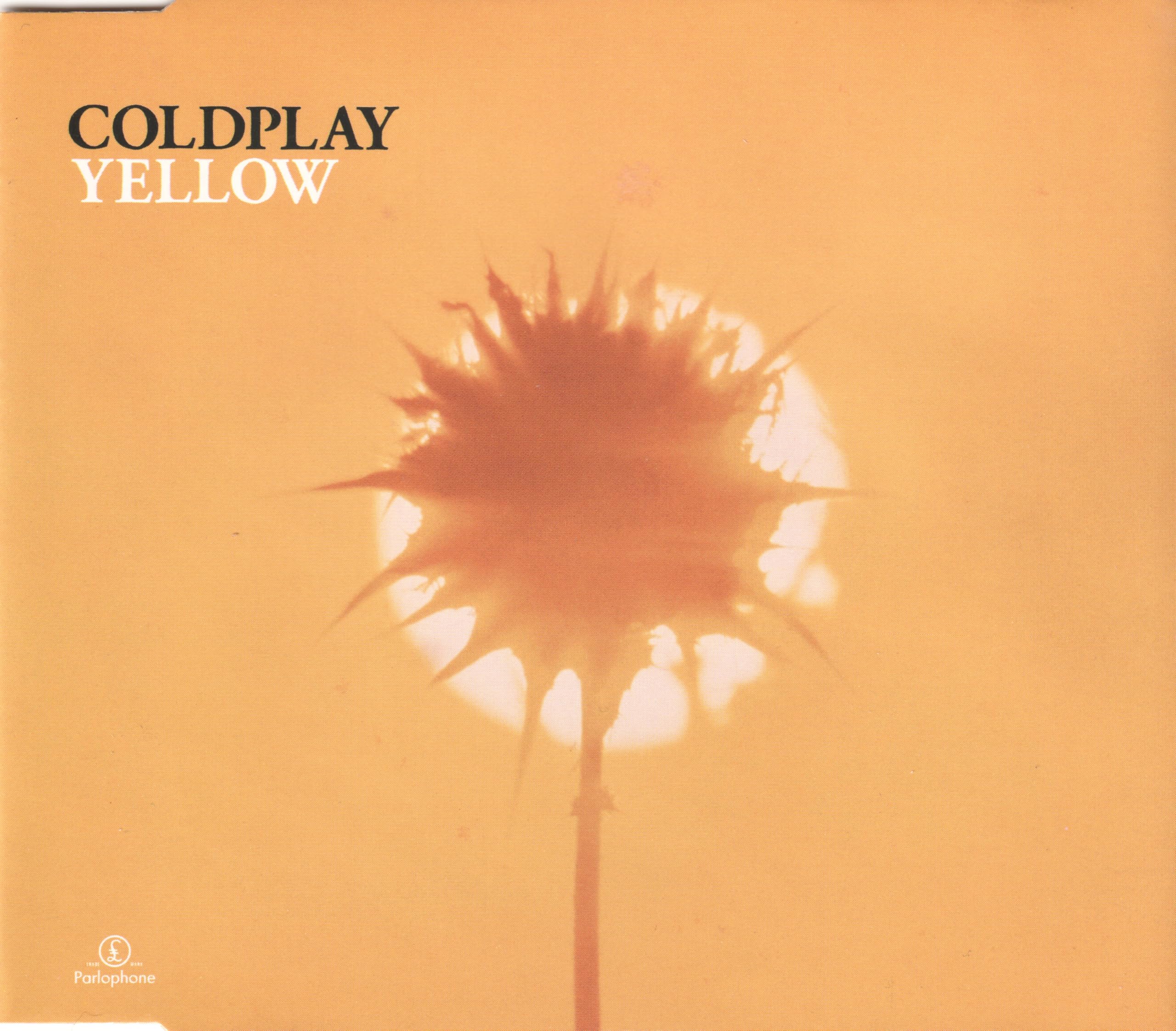 Yellow Pop