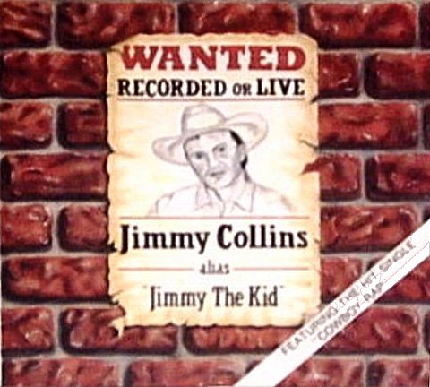 Wanted: Recorded or Live (UK Import) Pop