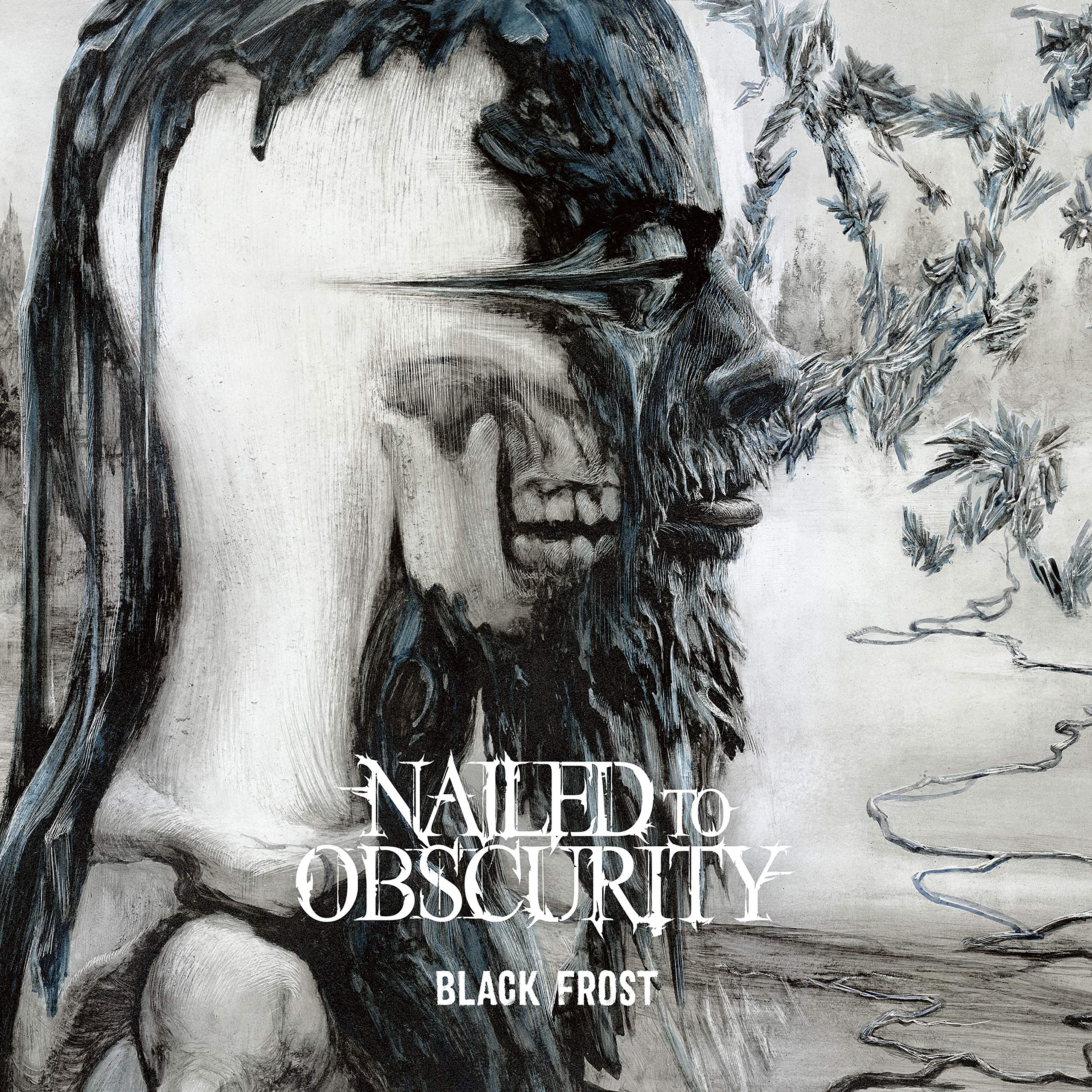 Product Image: Black Frost