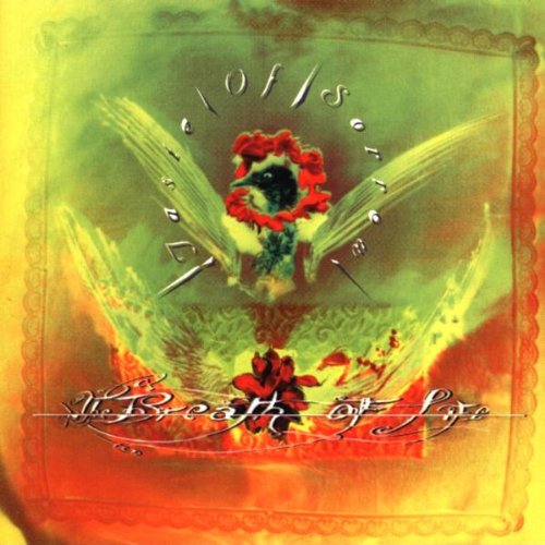 Taste of Sorrow Alternative & Indie