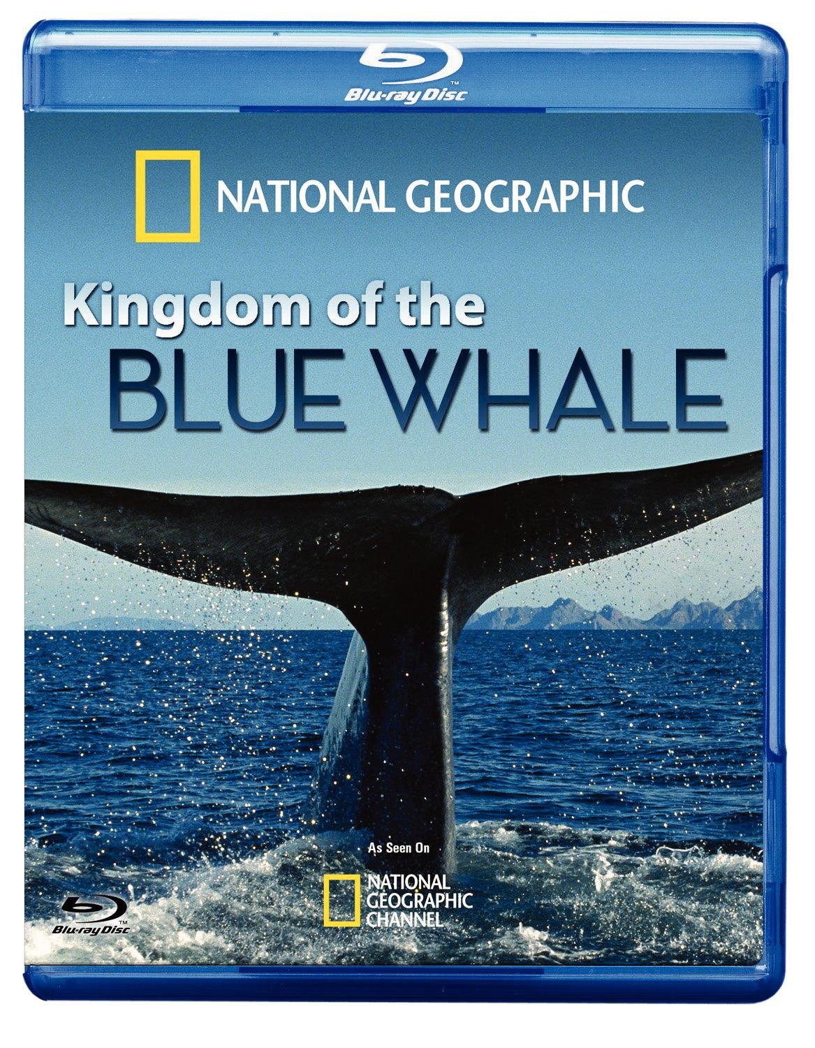 Kingdom of Blue Whale dvd