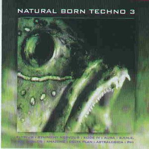 Natural Born Techno Vol.3 Alternative & Indie