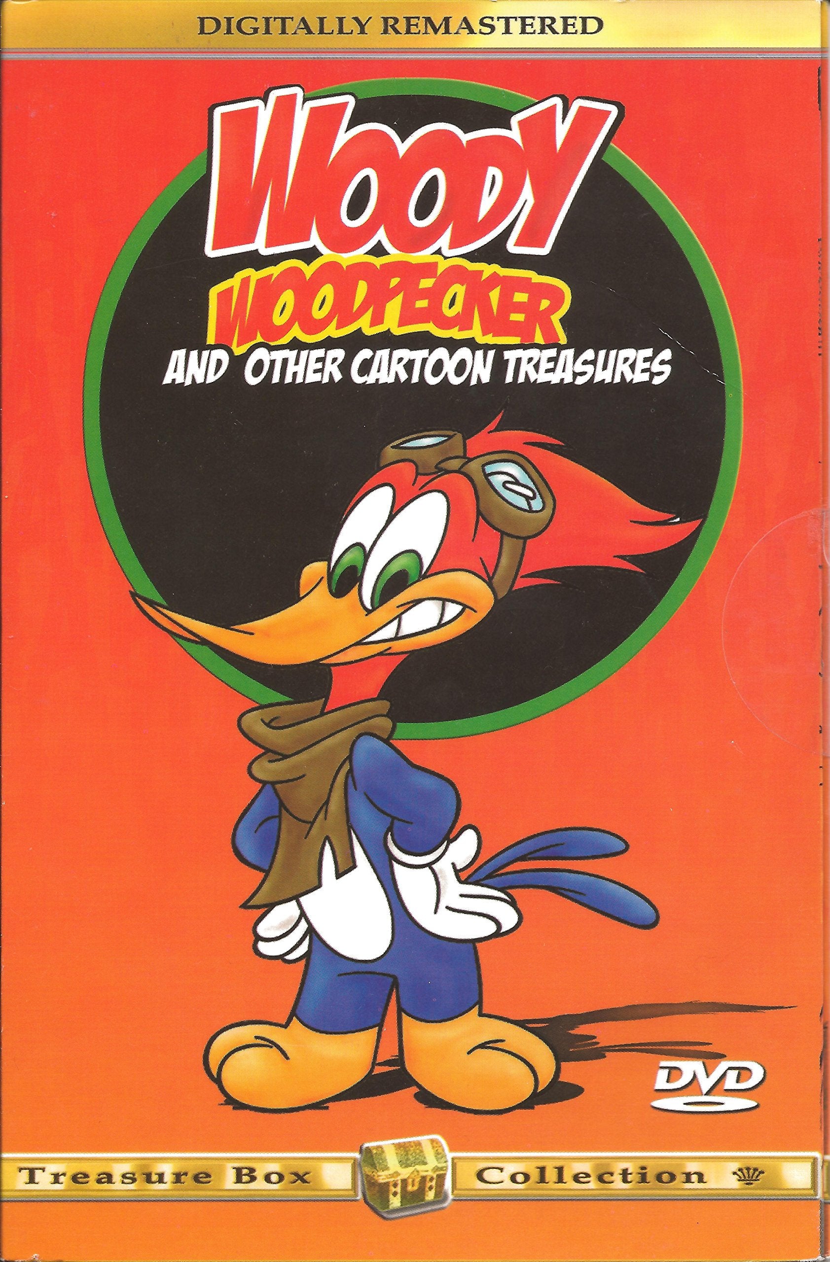 Woody Woodpecker And Other Cartoon Treasures Books