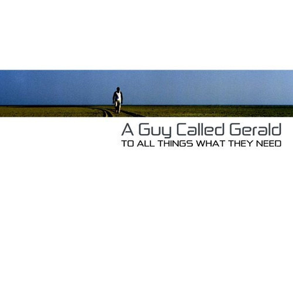 Product Image: To All Things What They Need