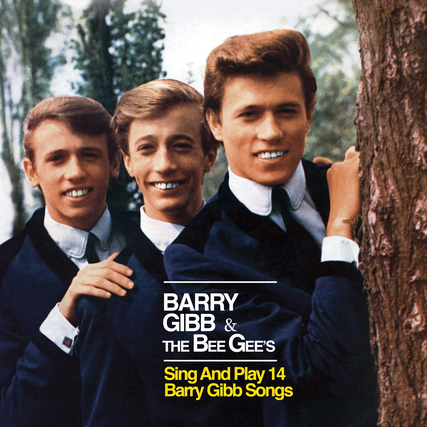 Barry Gibb & The Bee Gees Sing & Play 14 Barry Gibb Songs Music