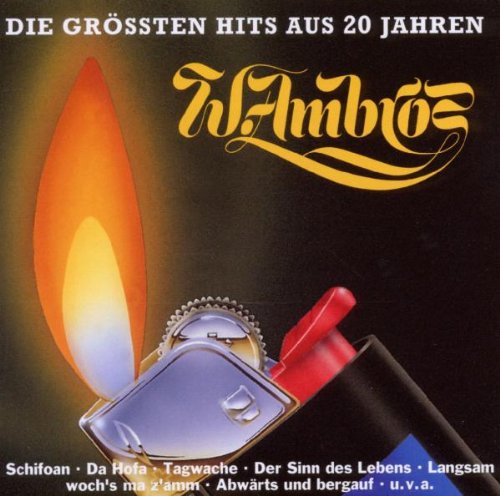Groessten Hits aus 20 Jahr Country & Folk